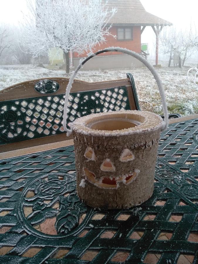 Lesencetomaj Casa Beata 빌라 외부 사진