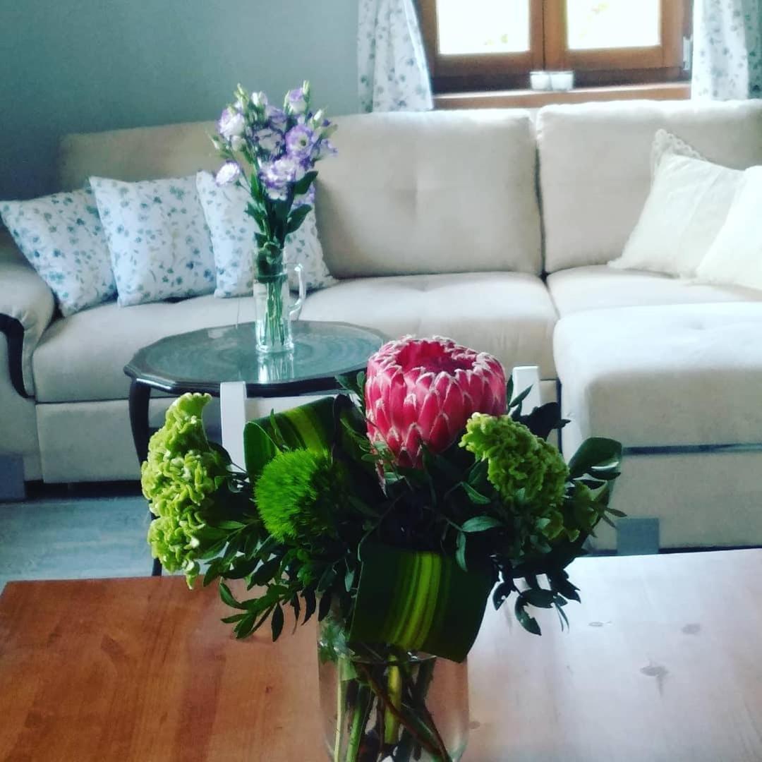 Lesencetomaj Casa Beata 빌라 외부 사진