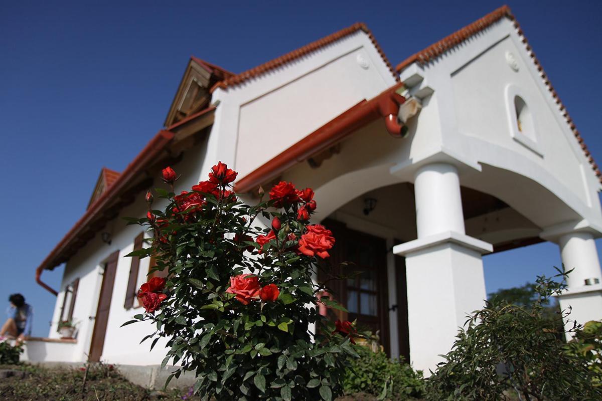 Lesencetomaj Casa Beata 빌라 외부 사진