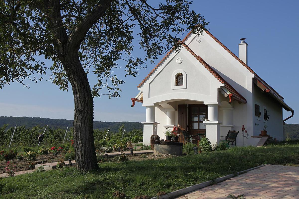 Lesencetomaj Casa Beata 빌라 외부 사진