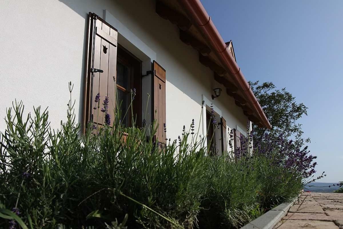 Lesencetomaj Casa Beata 빌라 외부 사진
