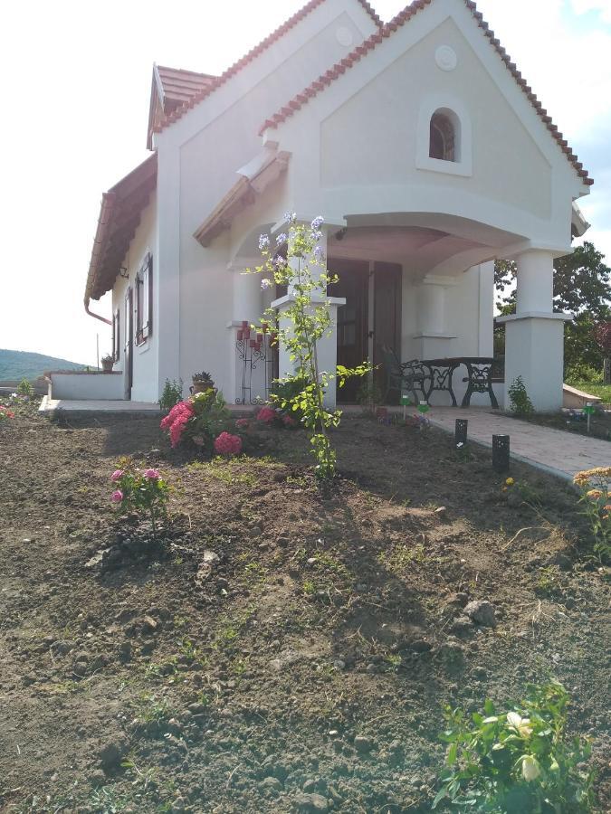 Lesencetomaj Casa Beata 빌라 외부 사진